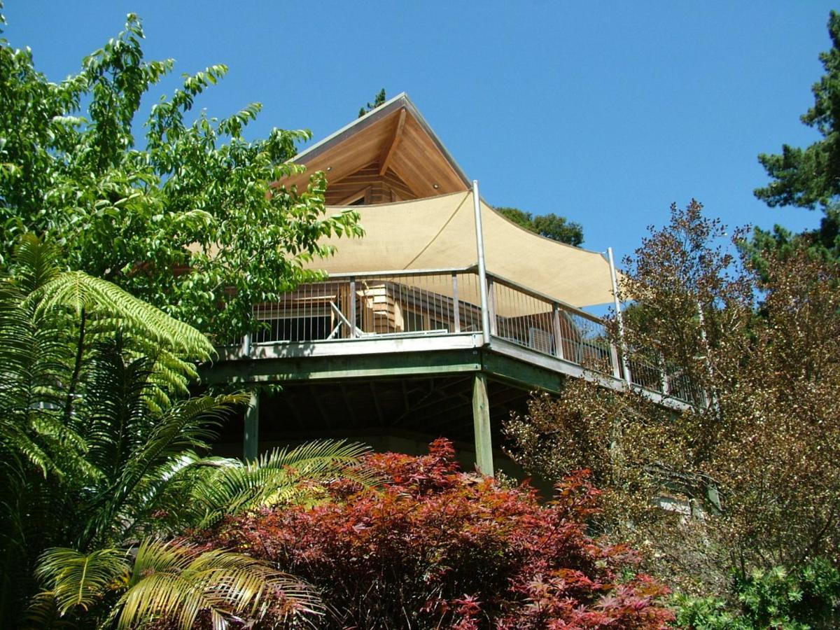 Waiotahi Valley Lodge Thames Εξωτερικό φωτογραφία